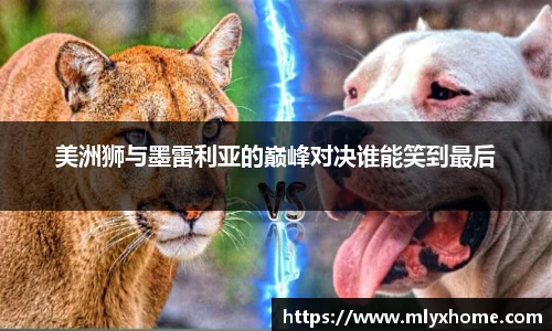 美洲狮与墨雷利亚的巅峰对决谁能笑到最后
